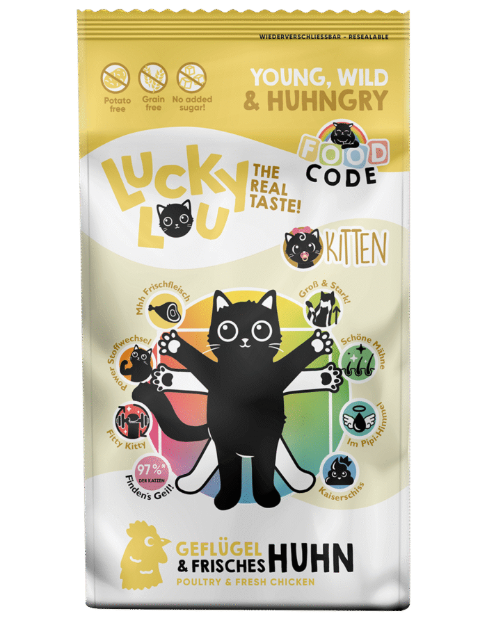 Lucky Lou Food Code Kitten