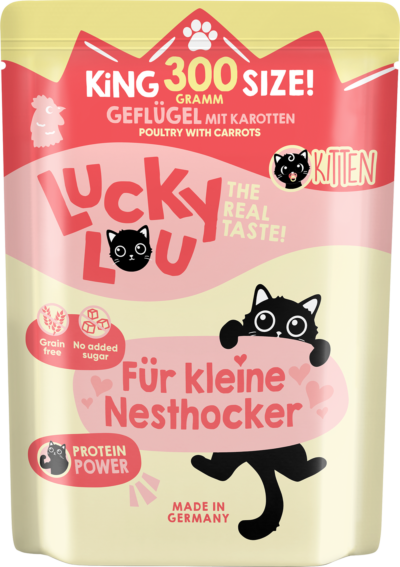 Lucky Lou Life Stage Kitten